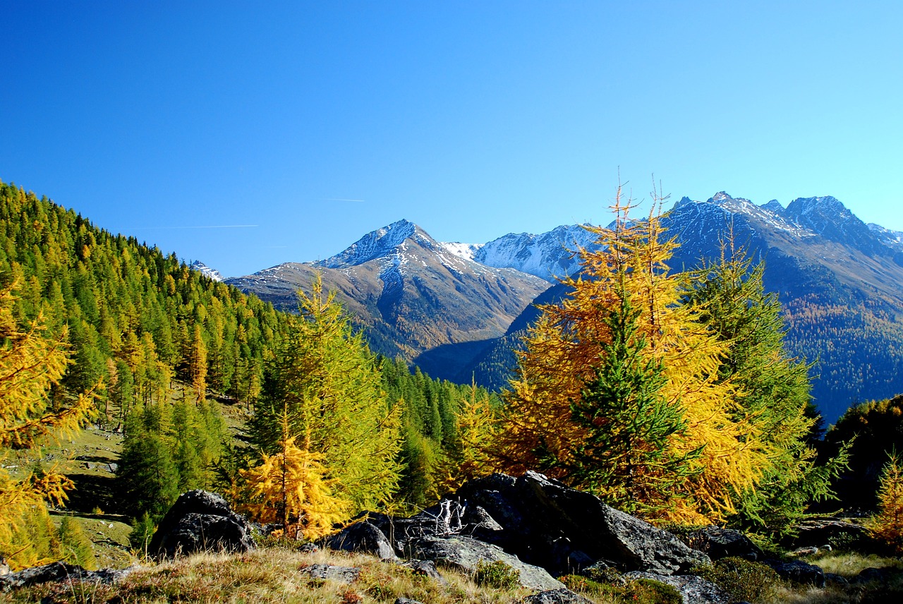 mountain panorama larch autumn free photo