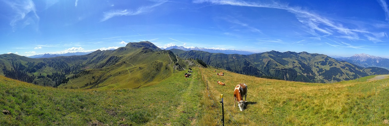 mountain panorama  alpine  nature free photo