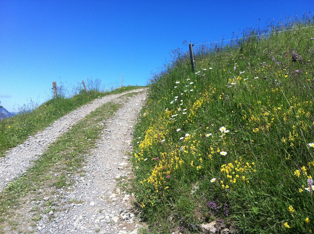 mountain path summer sun free photo