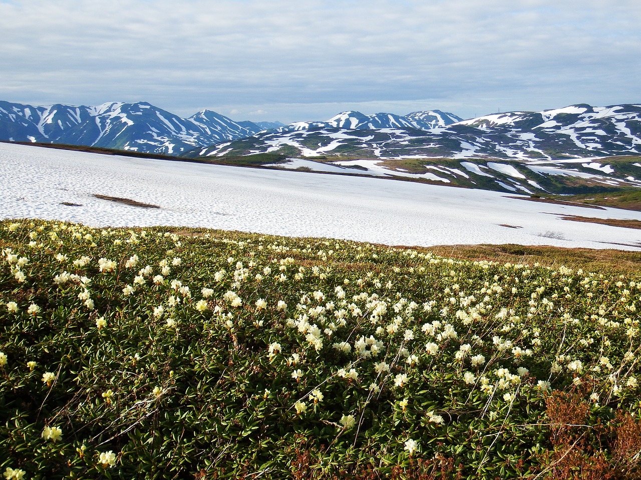 mountain plateau summer winter free photo