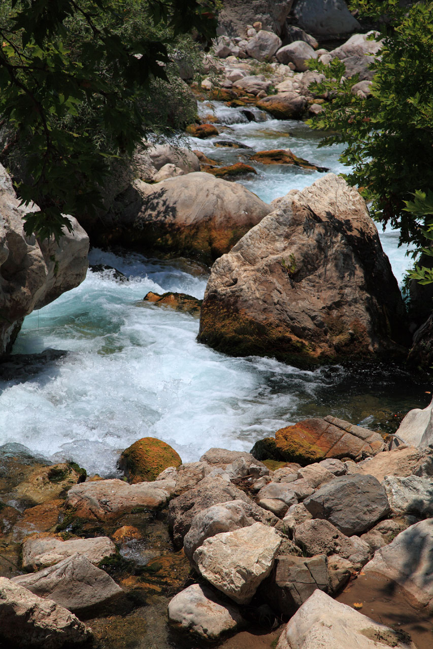 cascade clean creek free photo