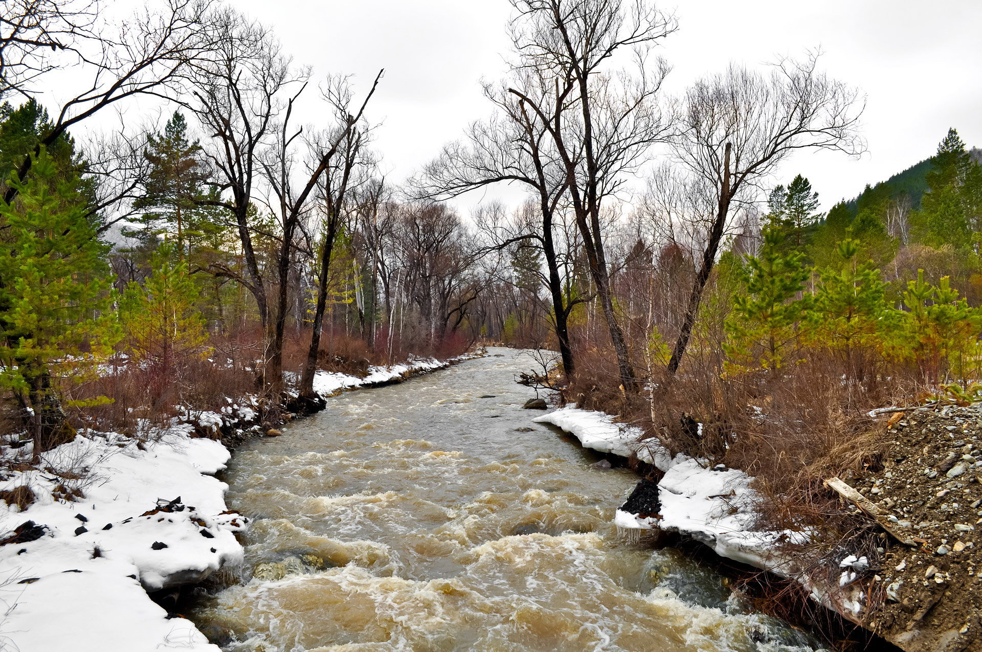 river forest nature free photo