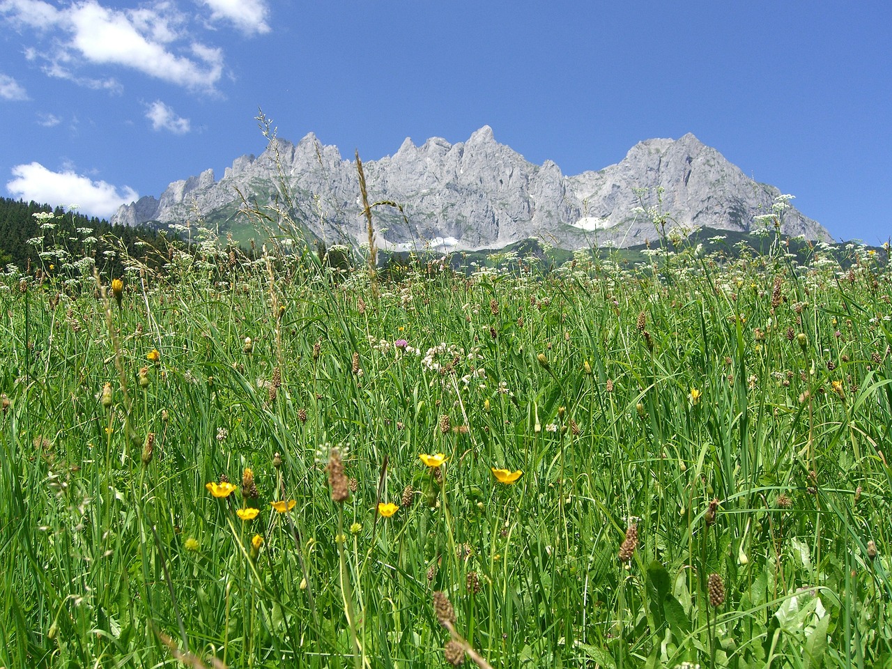 wilder kaiser mountain side tirol free photo