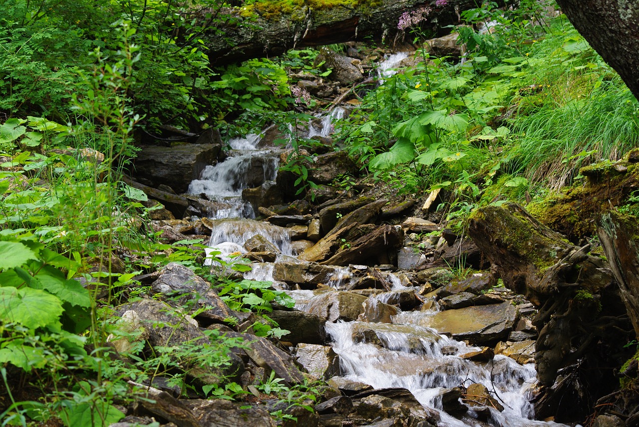 mountain stream stream brook free photo