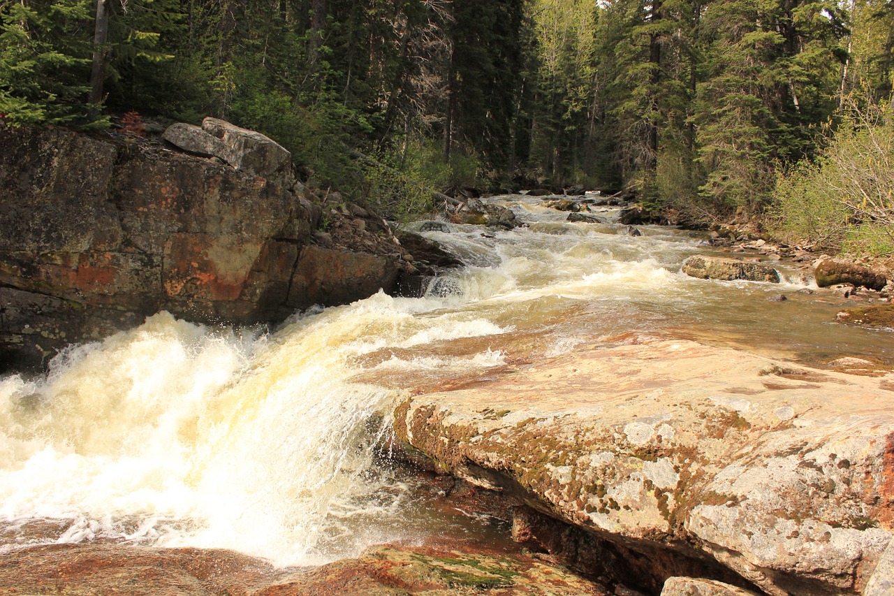 mountain stream flowing rocks free photo