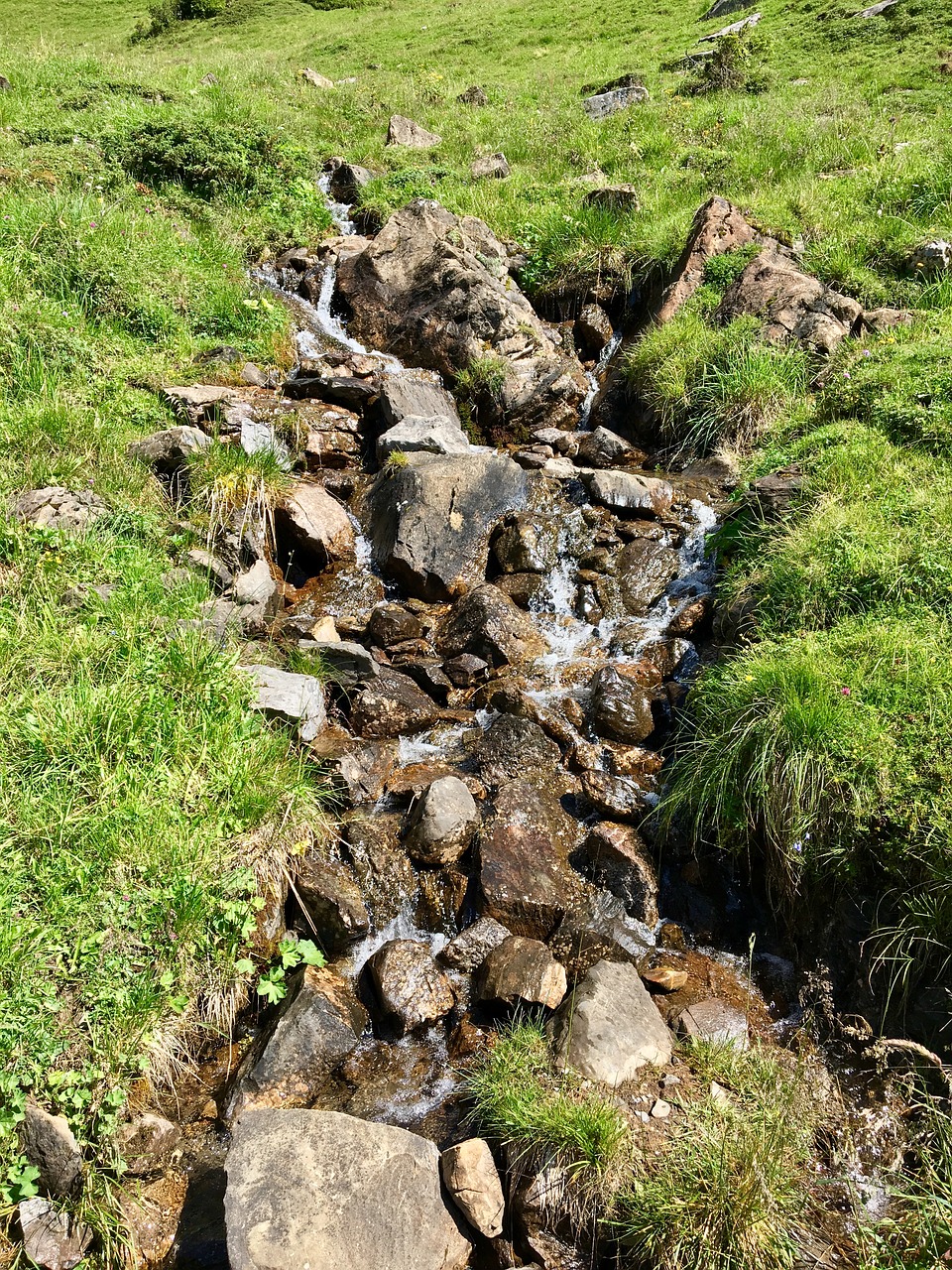 mountain stream alpine landscape free photo