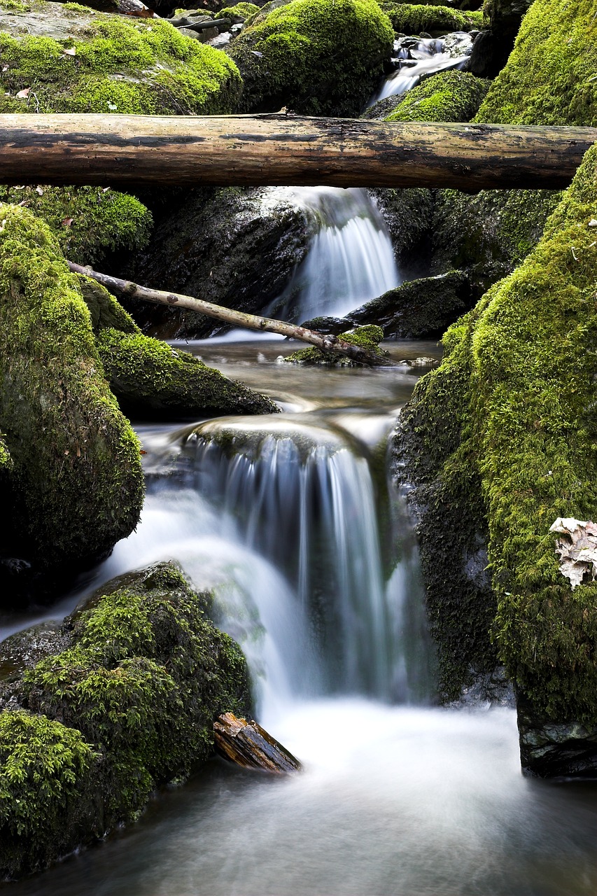 mountain stream nature water free photo