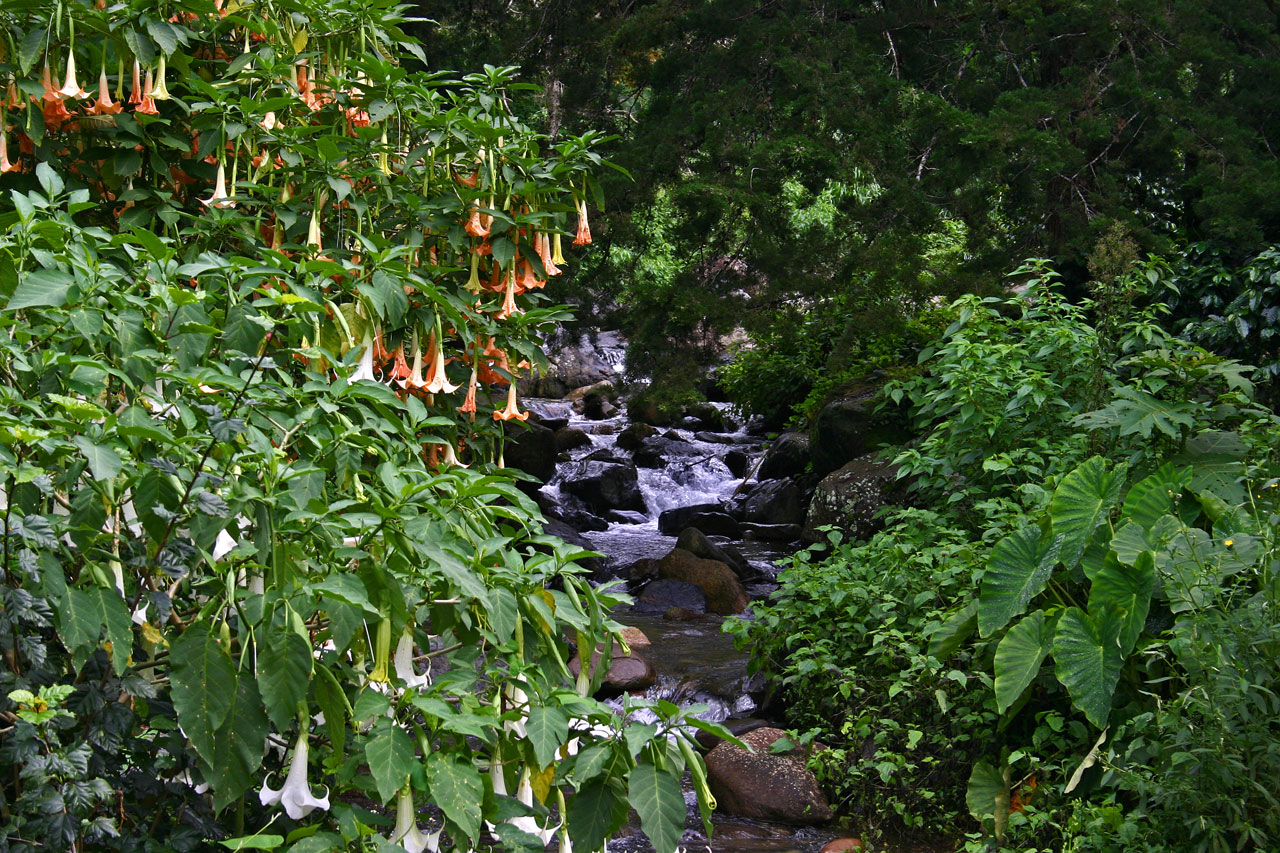 river water mountain free photo