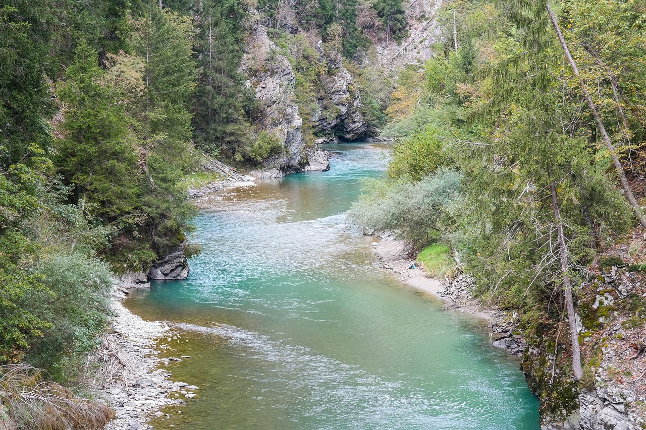 mountain stream  torrent  water free photo