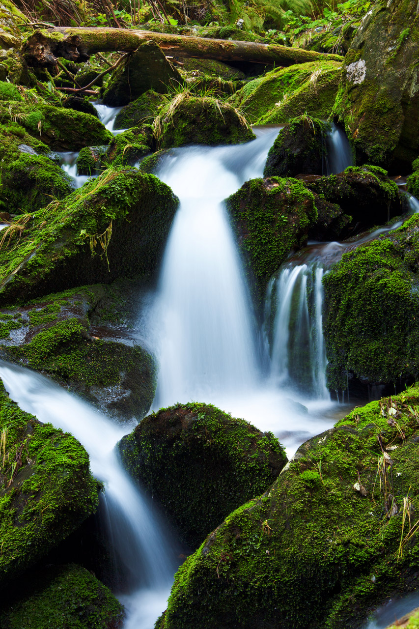 creek falls flow free photo
