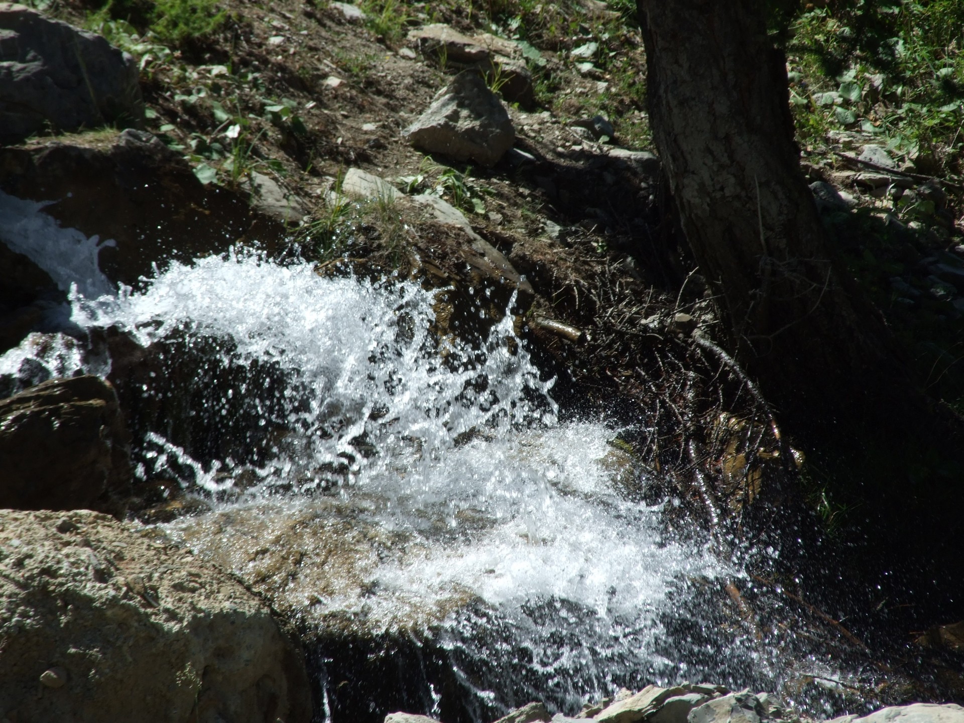 water creek stream free photo