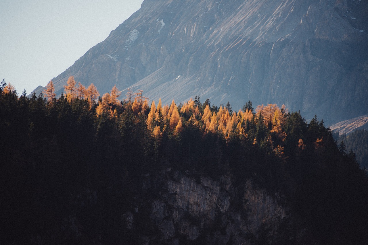 mountain top rocky mountains forest free photo