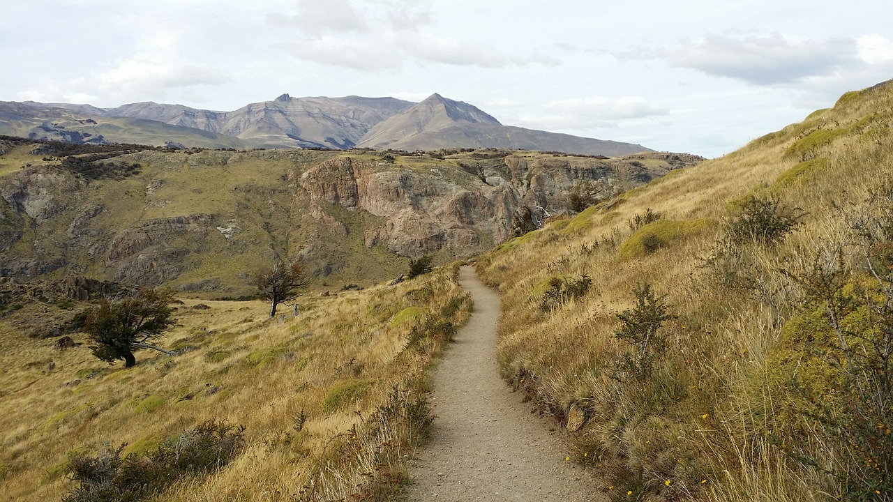 mountain trail the andes trail toward the future free photo