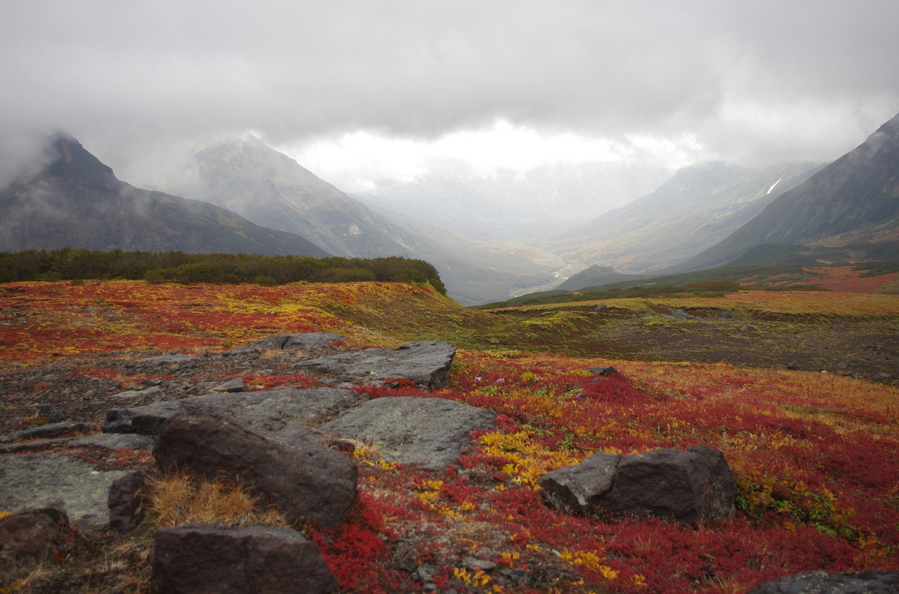mountain tundra mountains ranges free photo