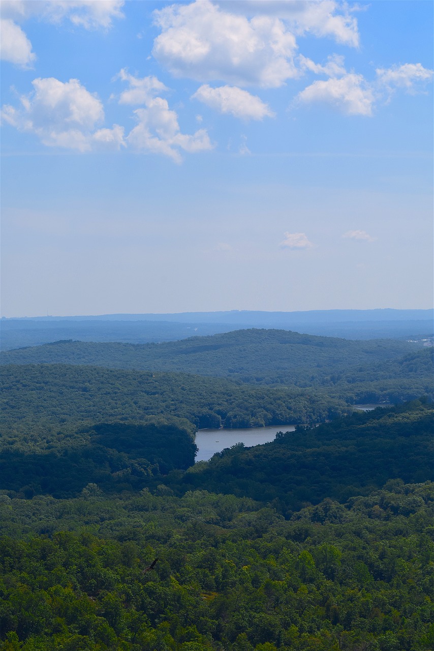 mountain view lake trees free photo