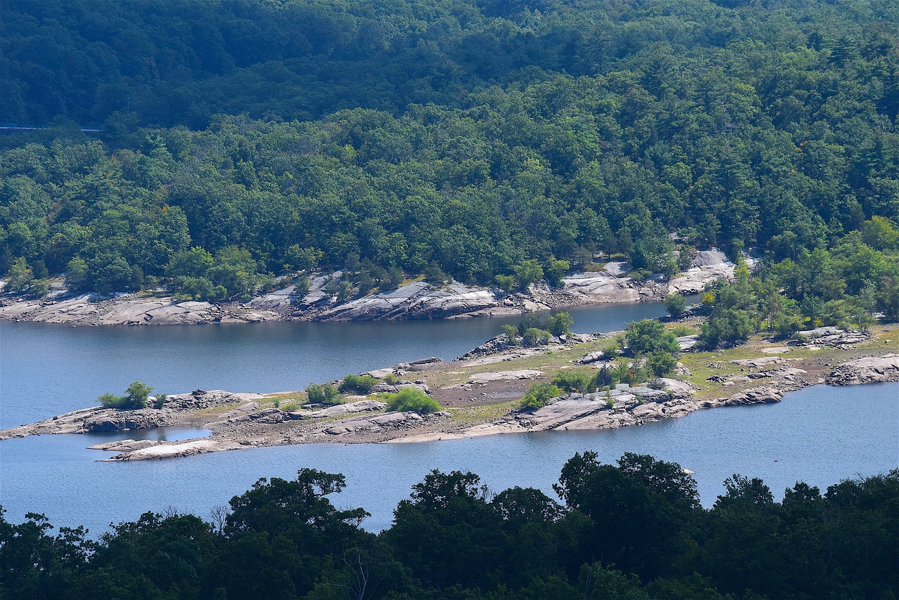 mountain view lake trees free photo