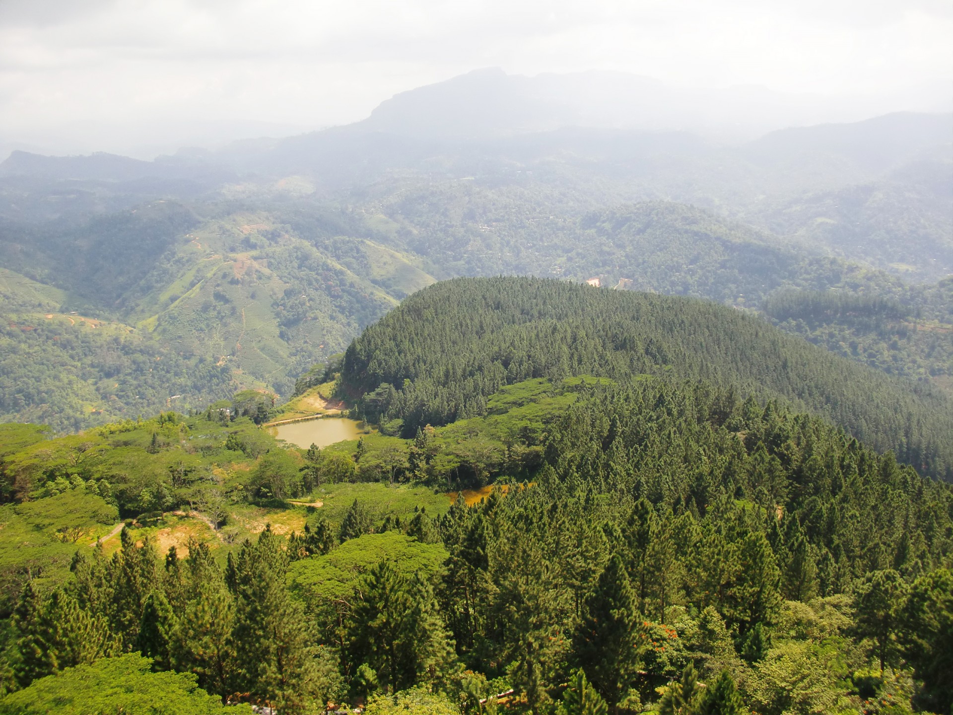 sri lanka mountain ambuluawa free photo