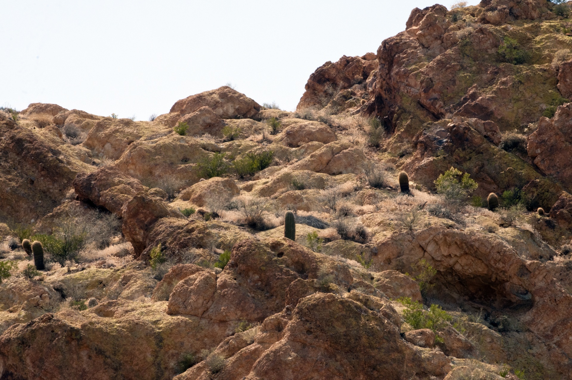 arizona desert mountains free photo