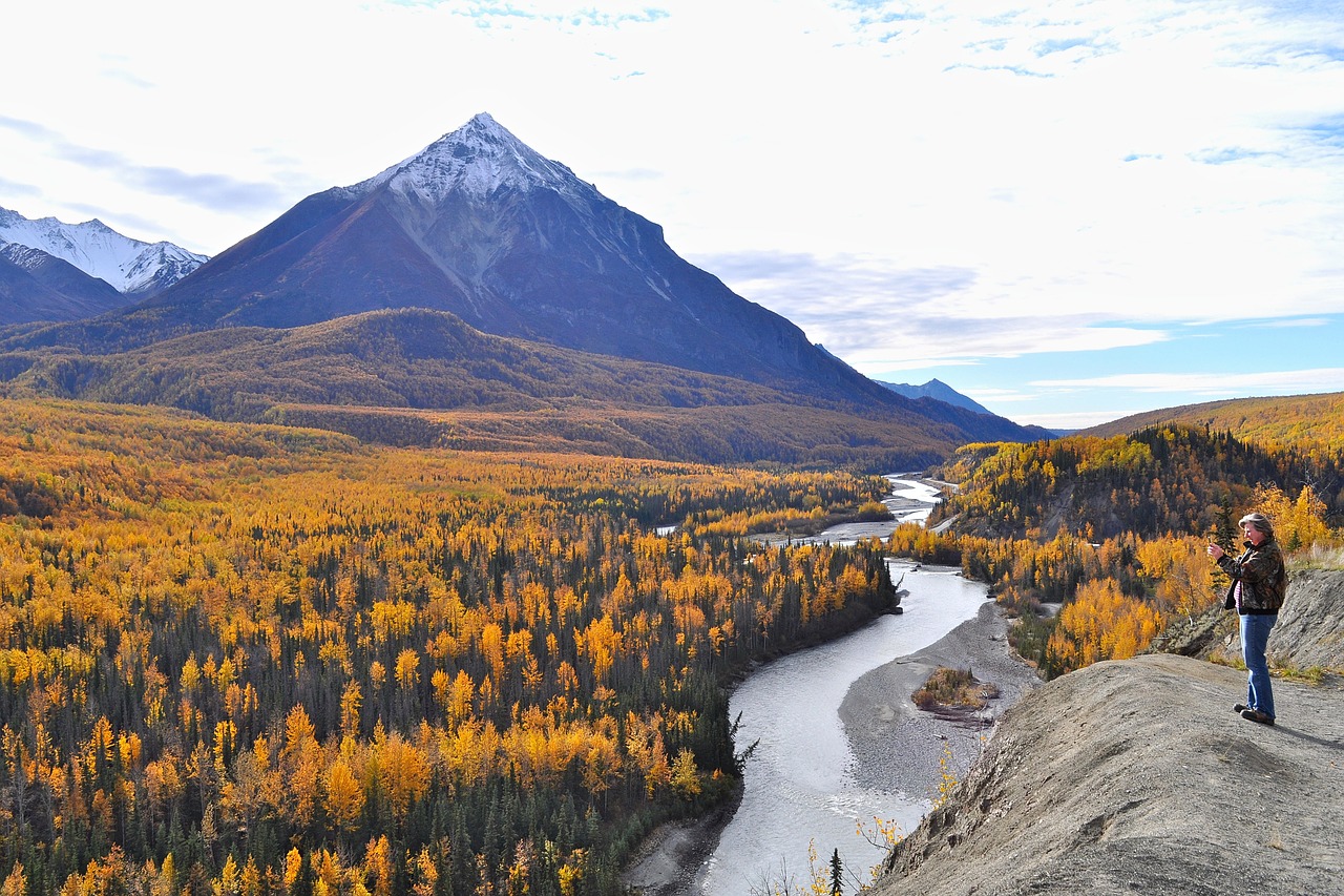 mountains trees landscape free photo