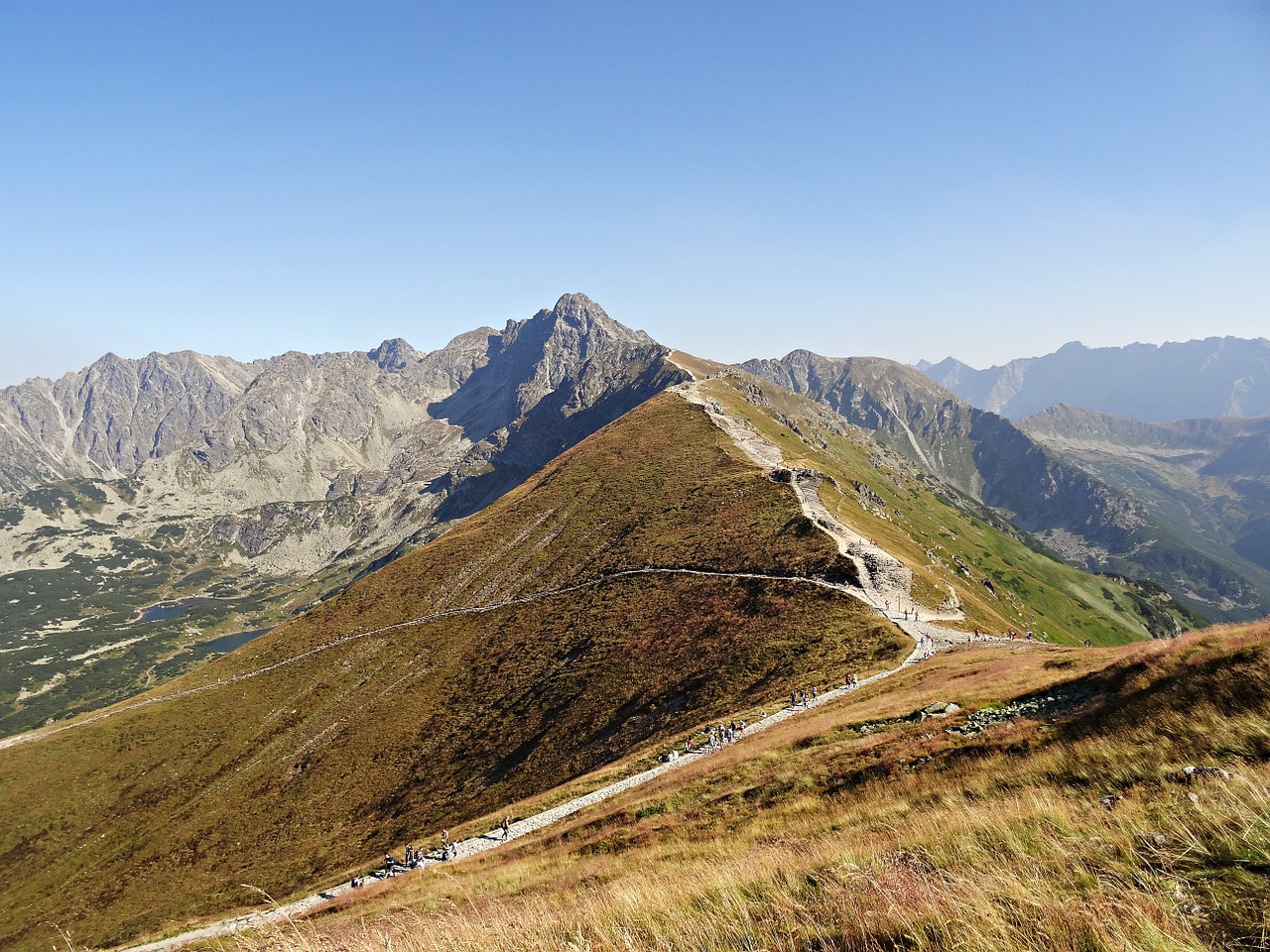 mountains forest panorama free photo