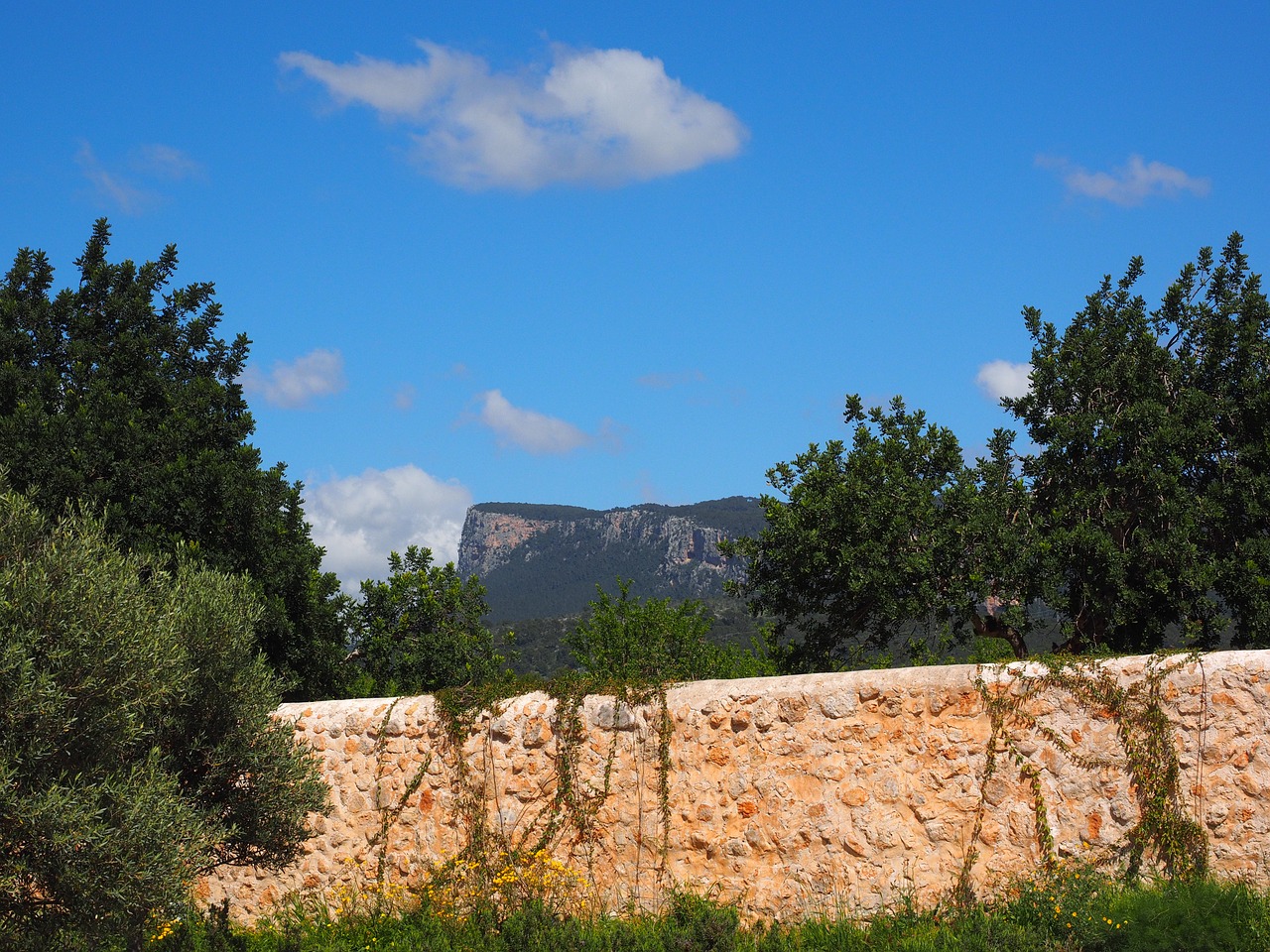 mountains estate raixa mallorca free photo