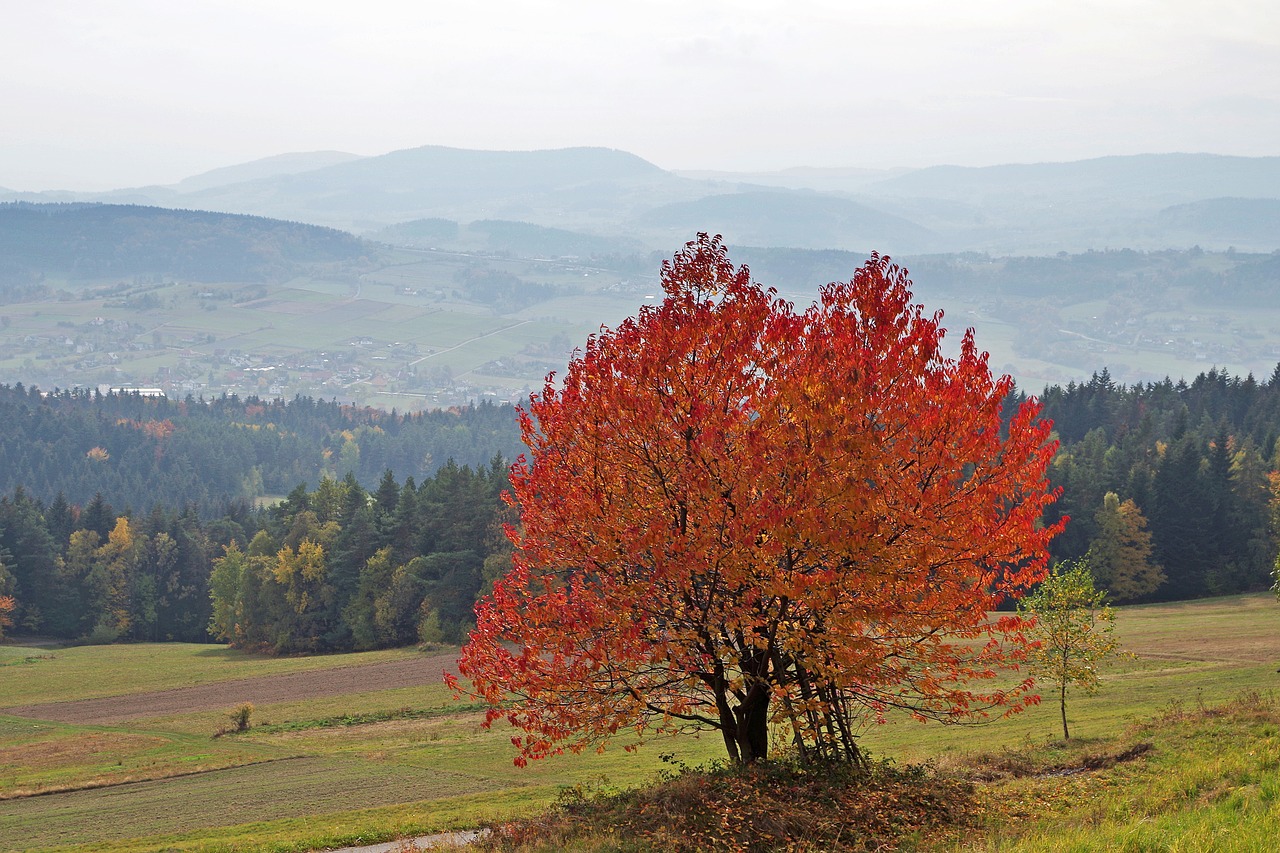 mountains autumn view free photo