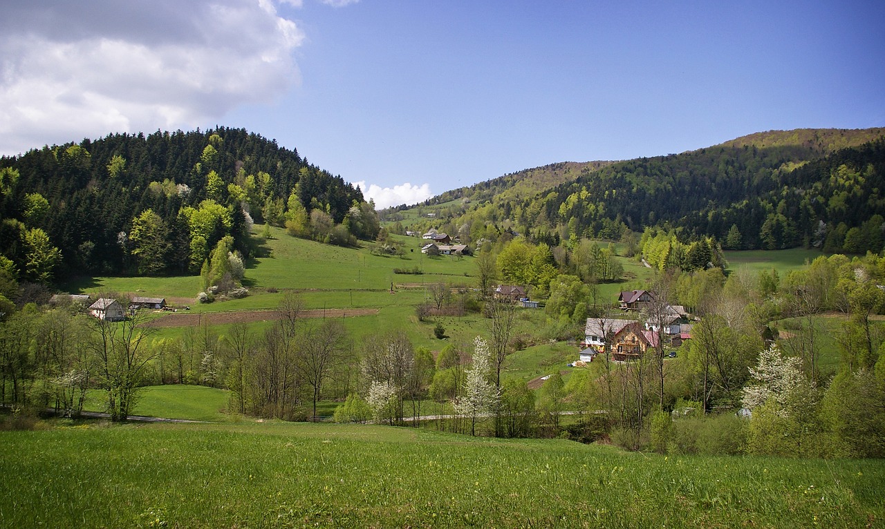 mountains spring forests free photo