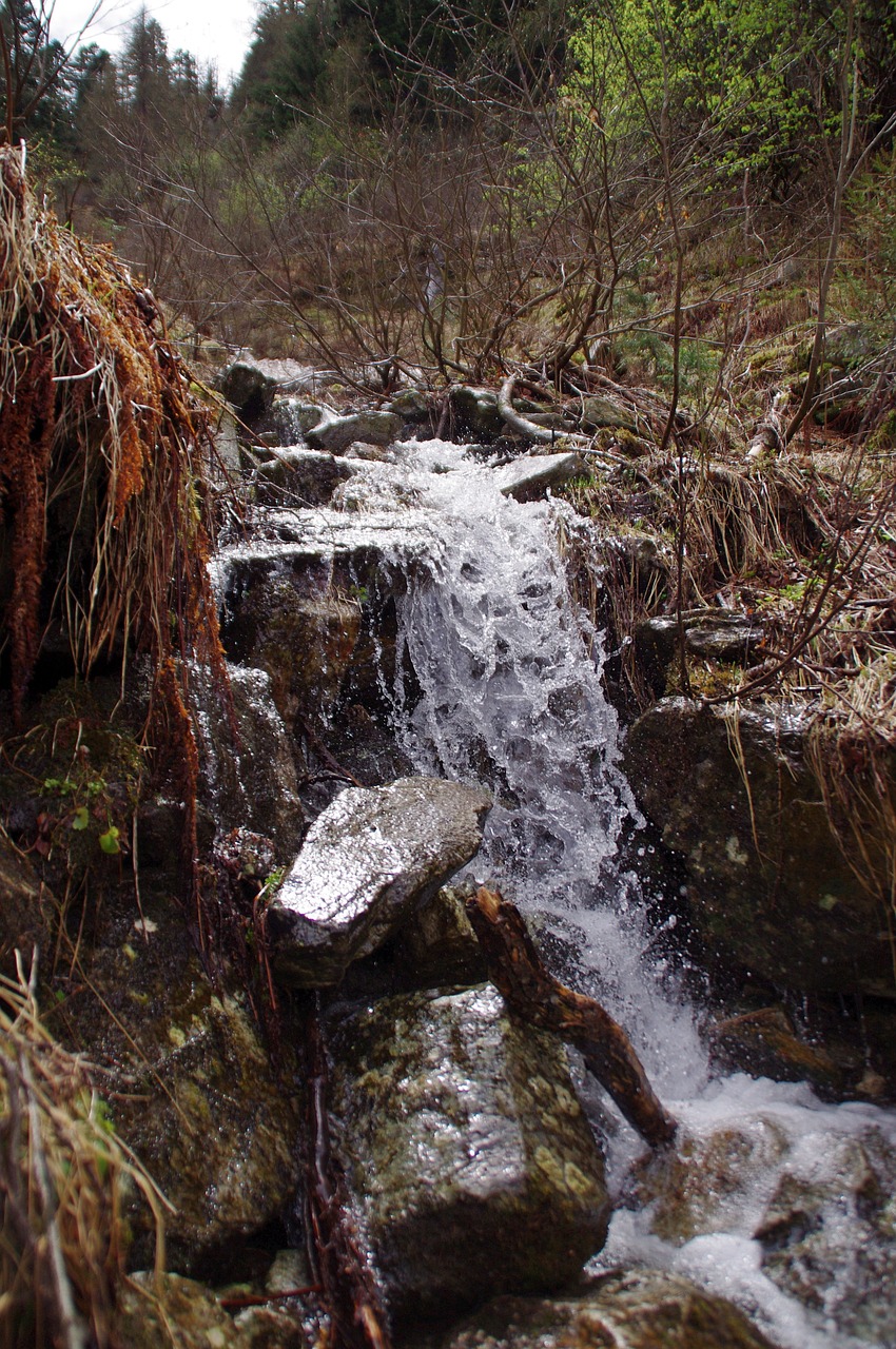 mountains bach nature free photo