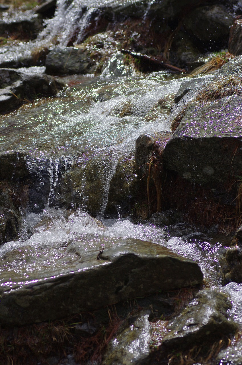 mountains bach nature free photo