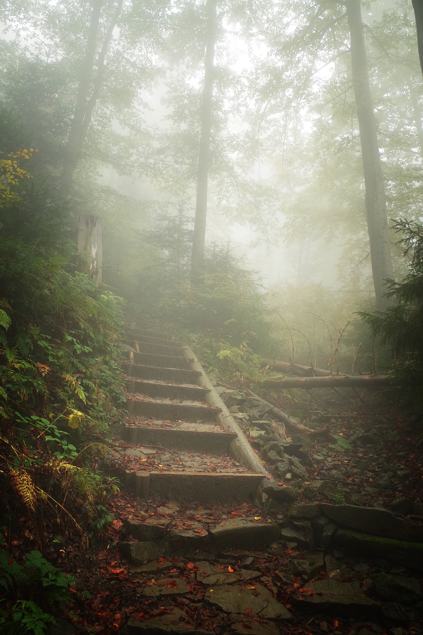 mountains hiking trail the fog free photo