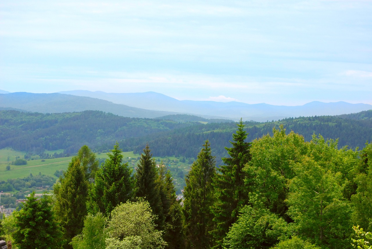 mountains forest wallpaper view free photo