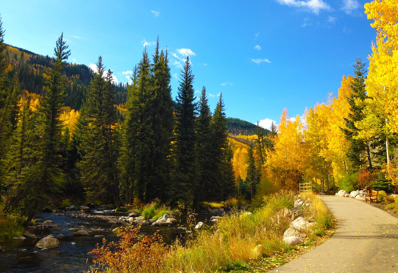 mountains autumn trees free photo