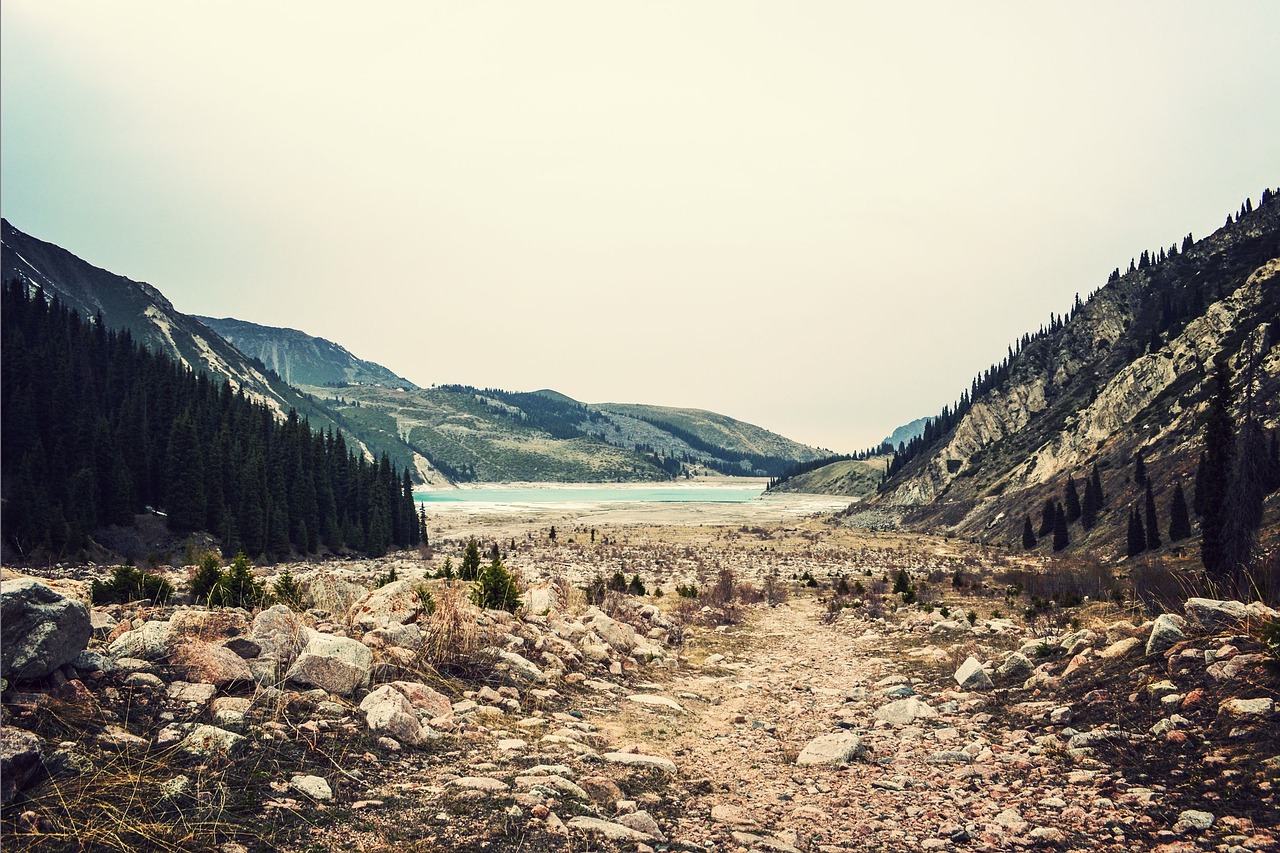 mountains wilderness trees free photo