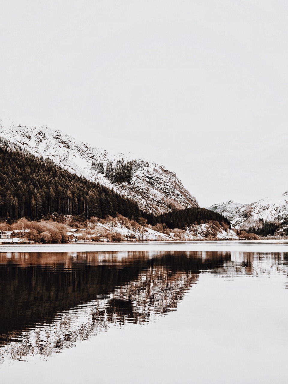 mountains trees water free photo