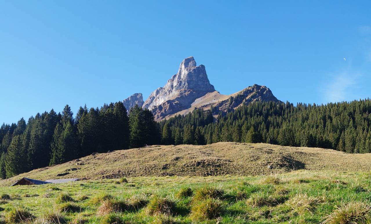 mountains glarus switzerland free photo