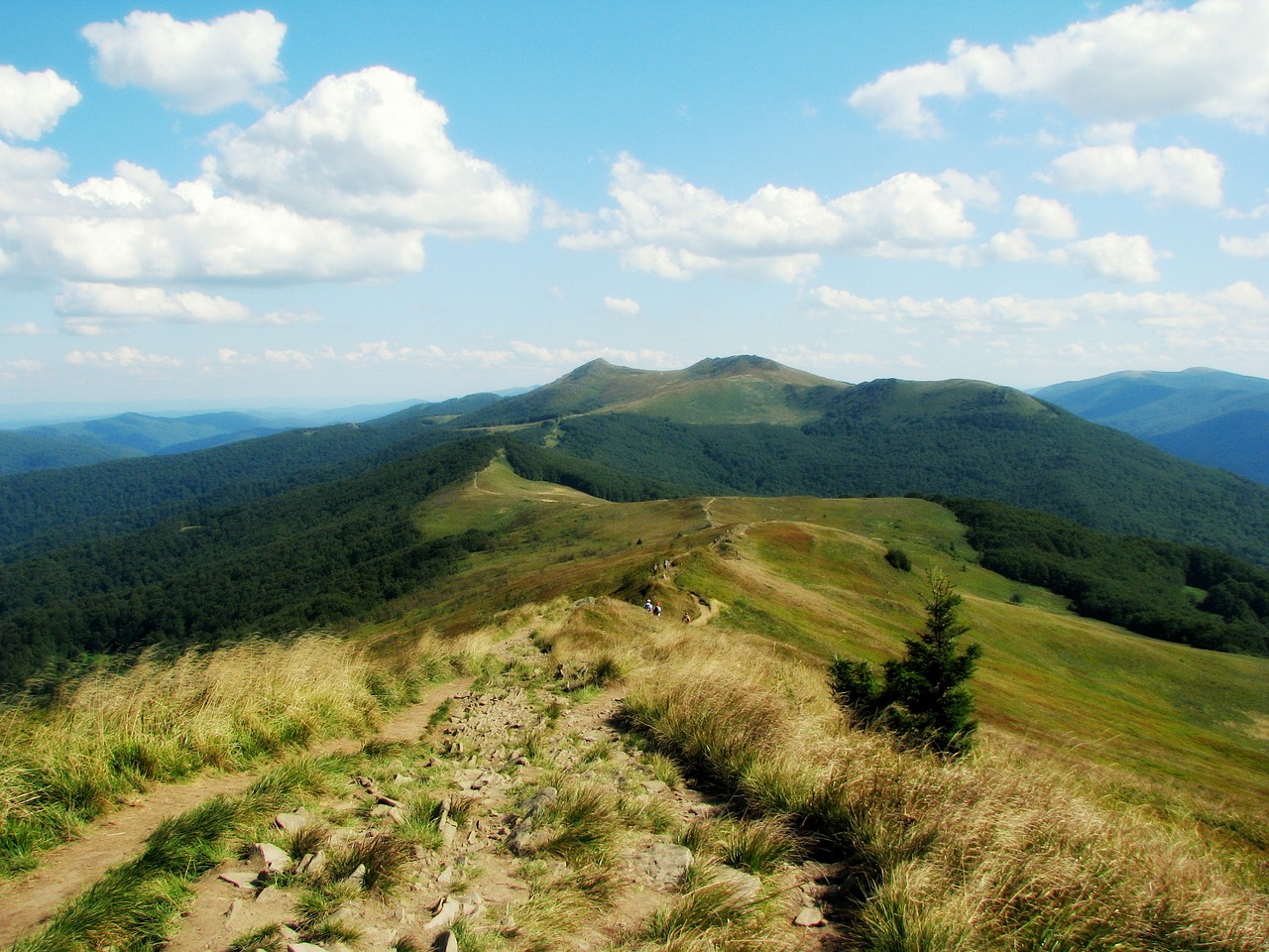 mountains poloniny bieszczady free photo