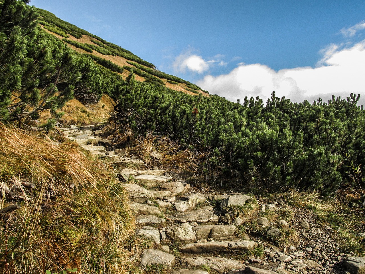 mountains landscape nature free photo