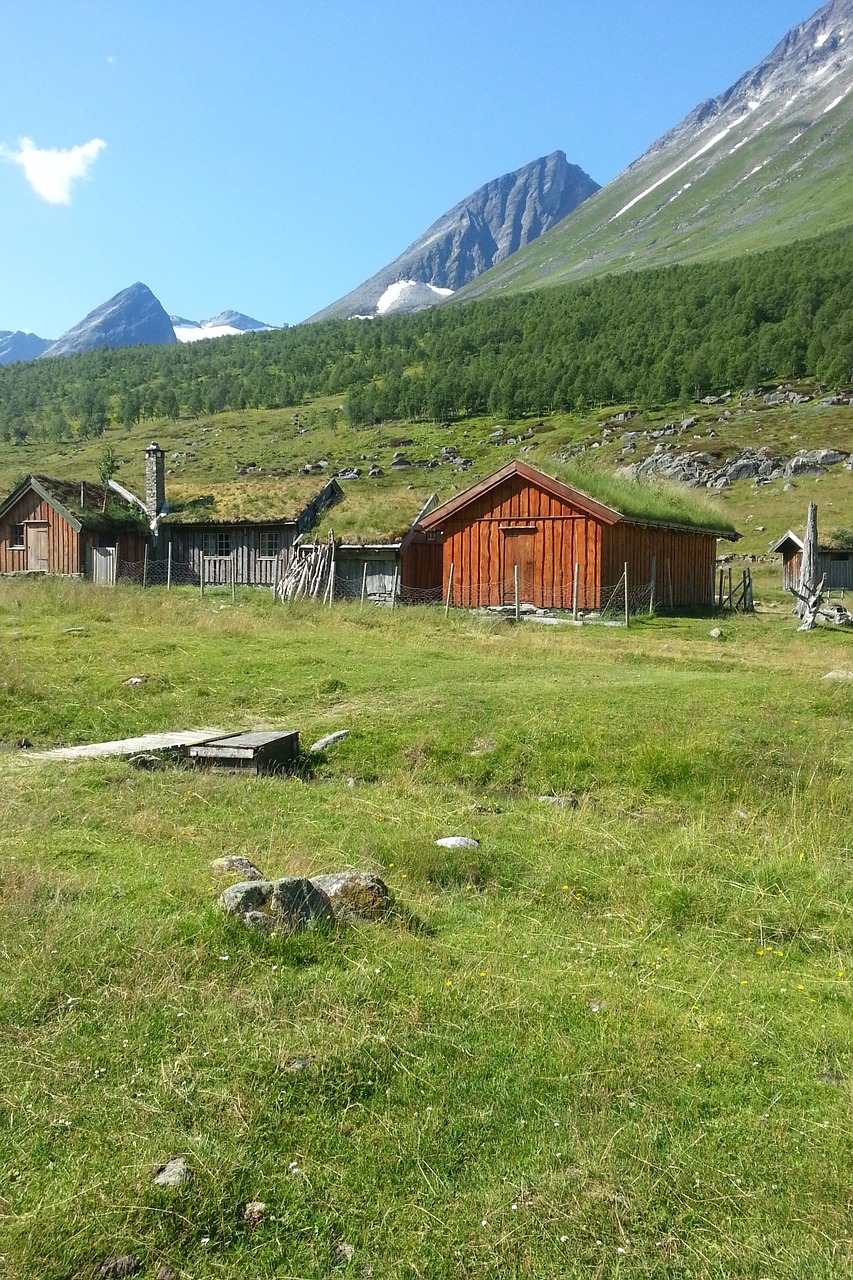 mountains norway fjord free photo