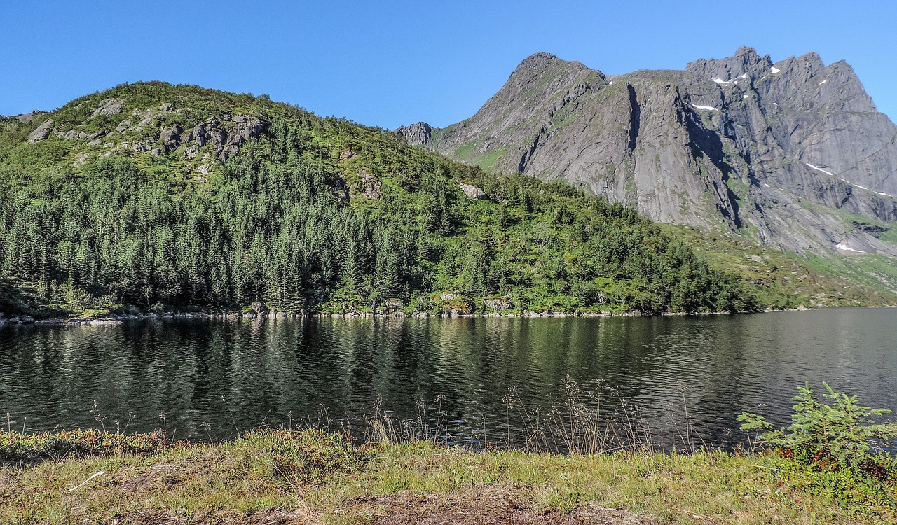 mountains forest lake free photo