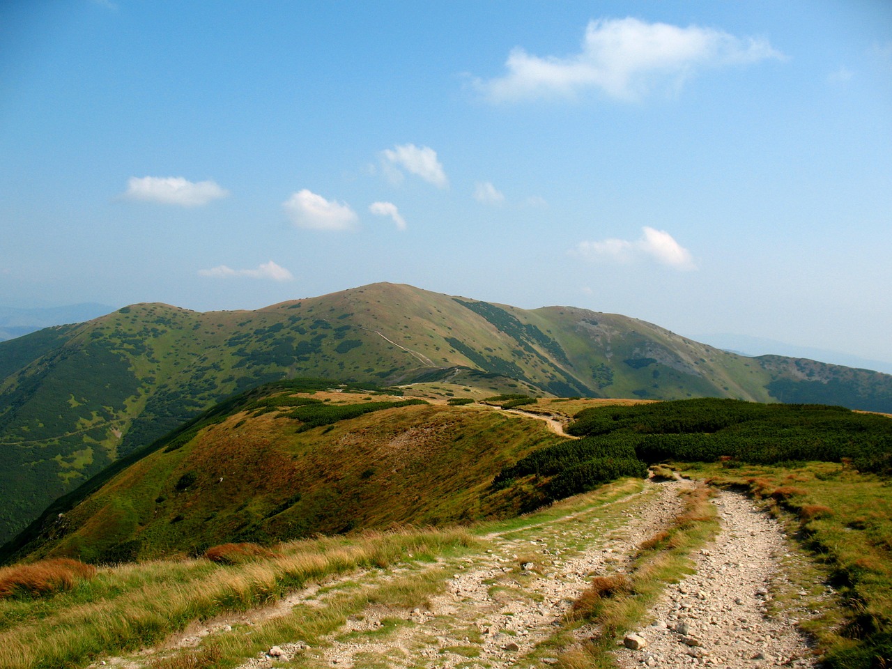 mountains summer trail free photo