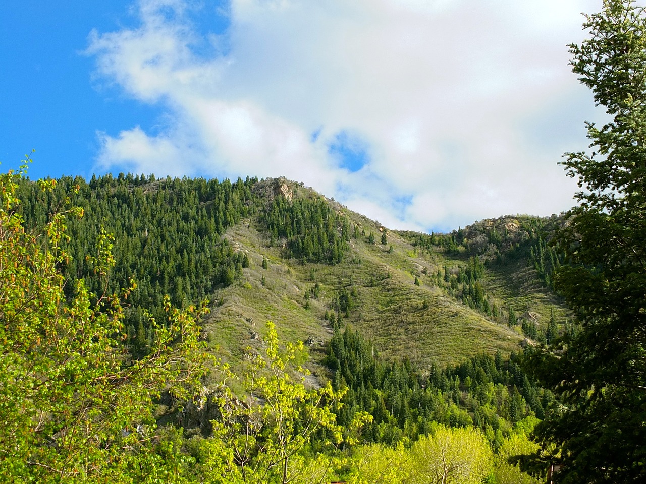 mountains spring trees free photo