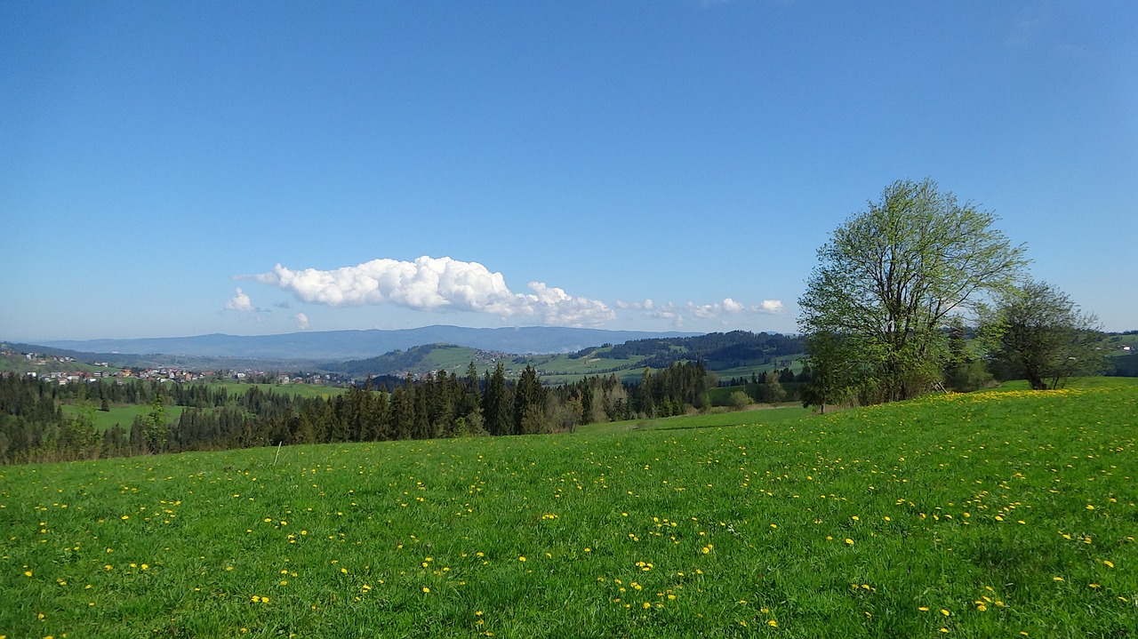 mountains landscape poland free photo