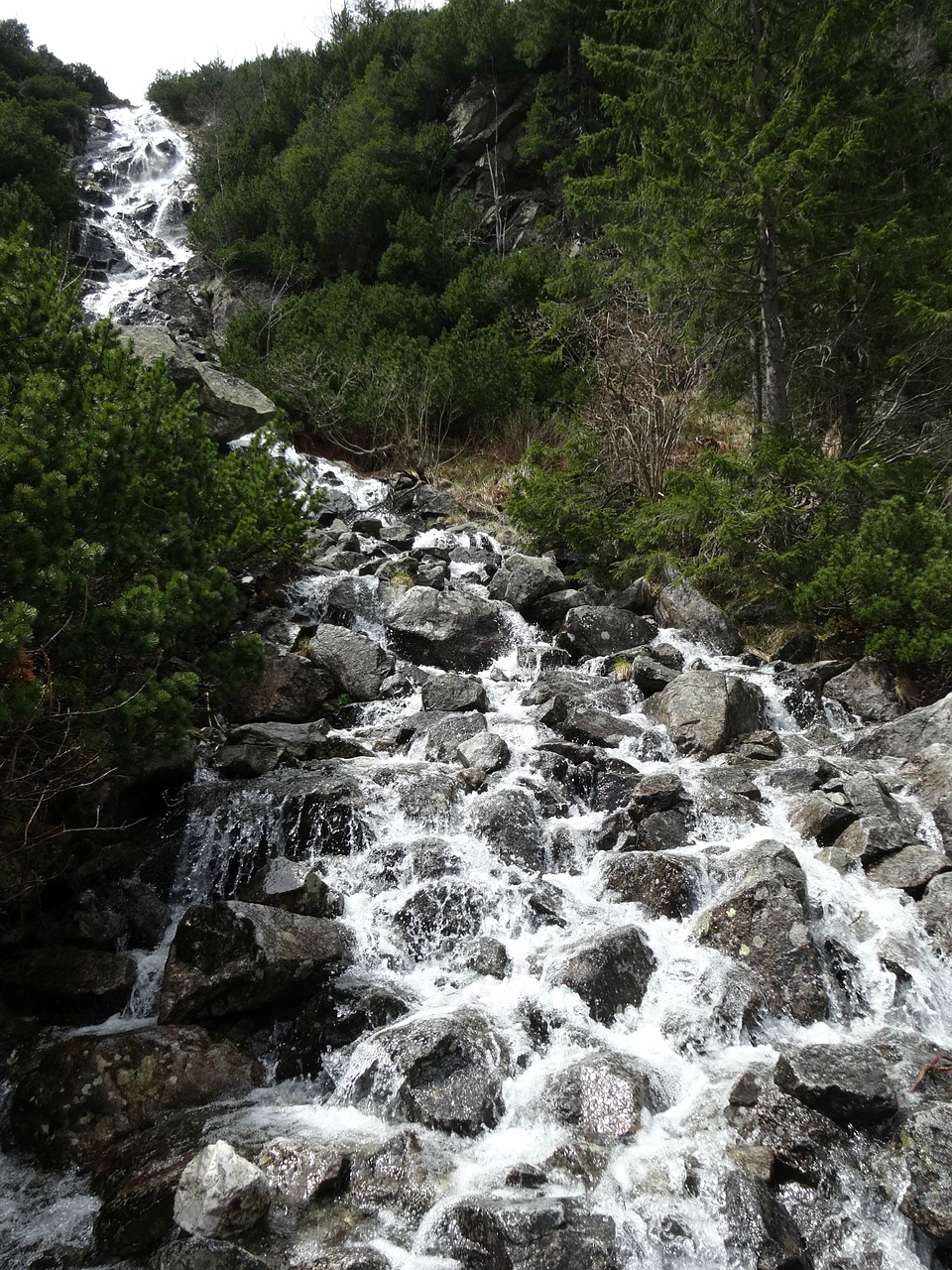mountains waterfall tatry free photo