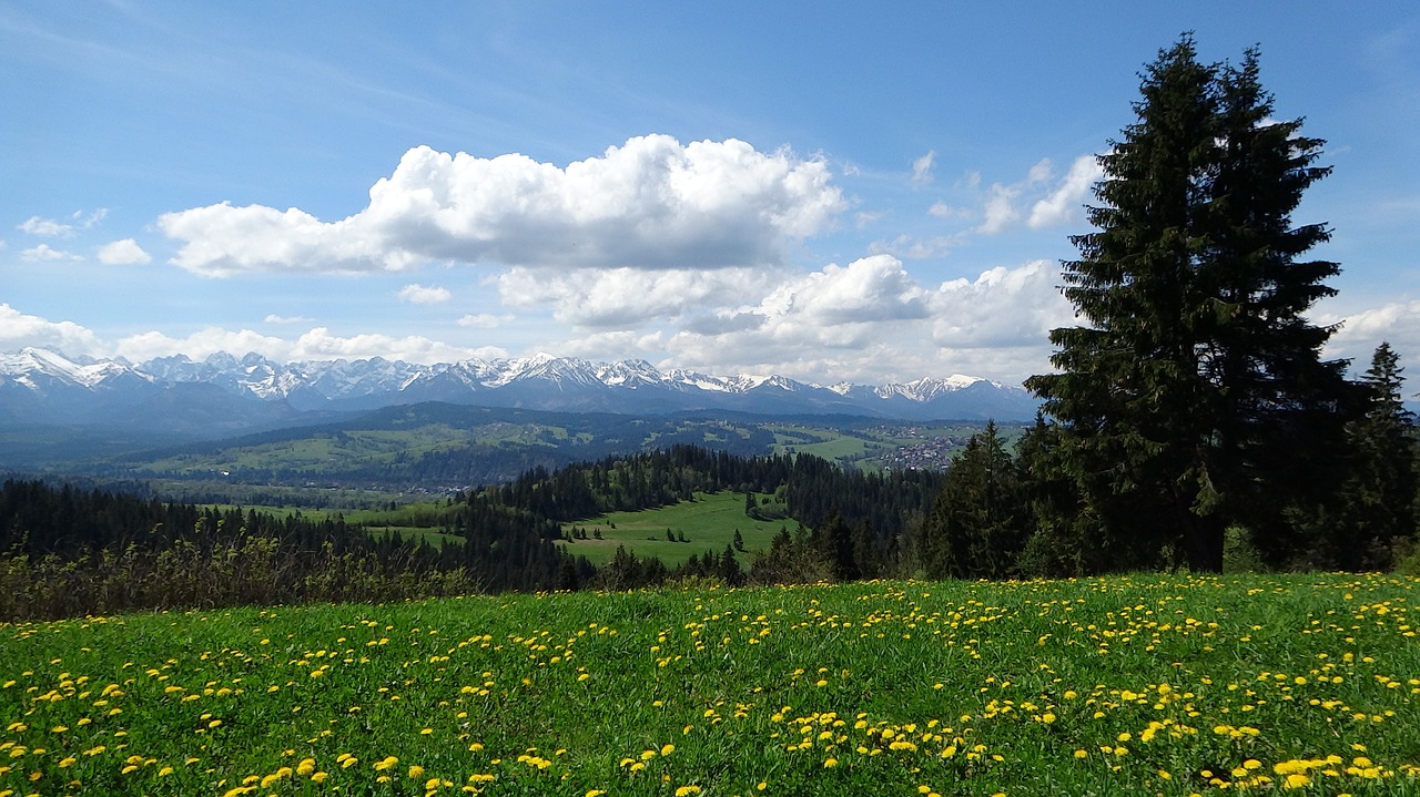 mountains tatry poland free photo