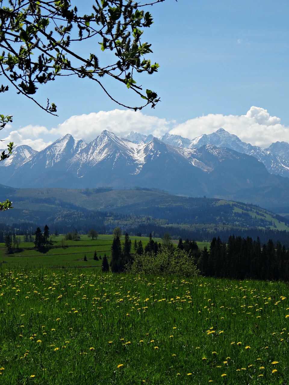 mountains tatry the high tatras free photo