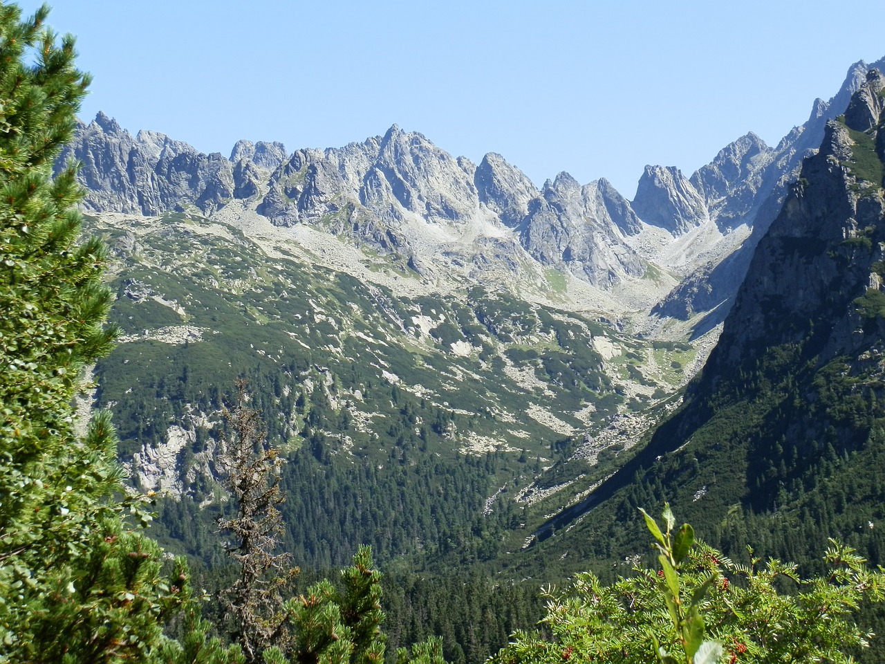 mountains high tatras nature free photo