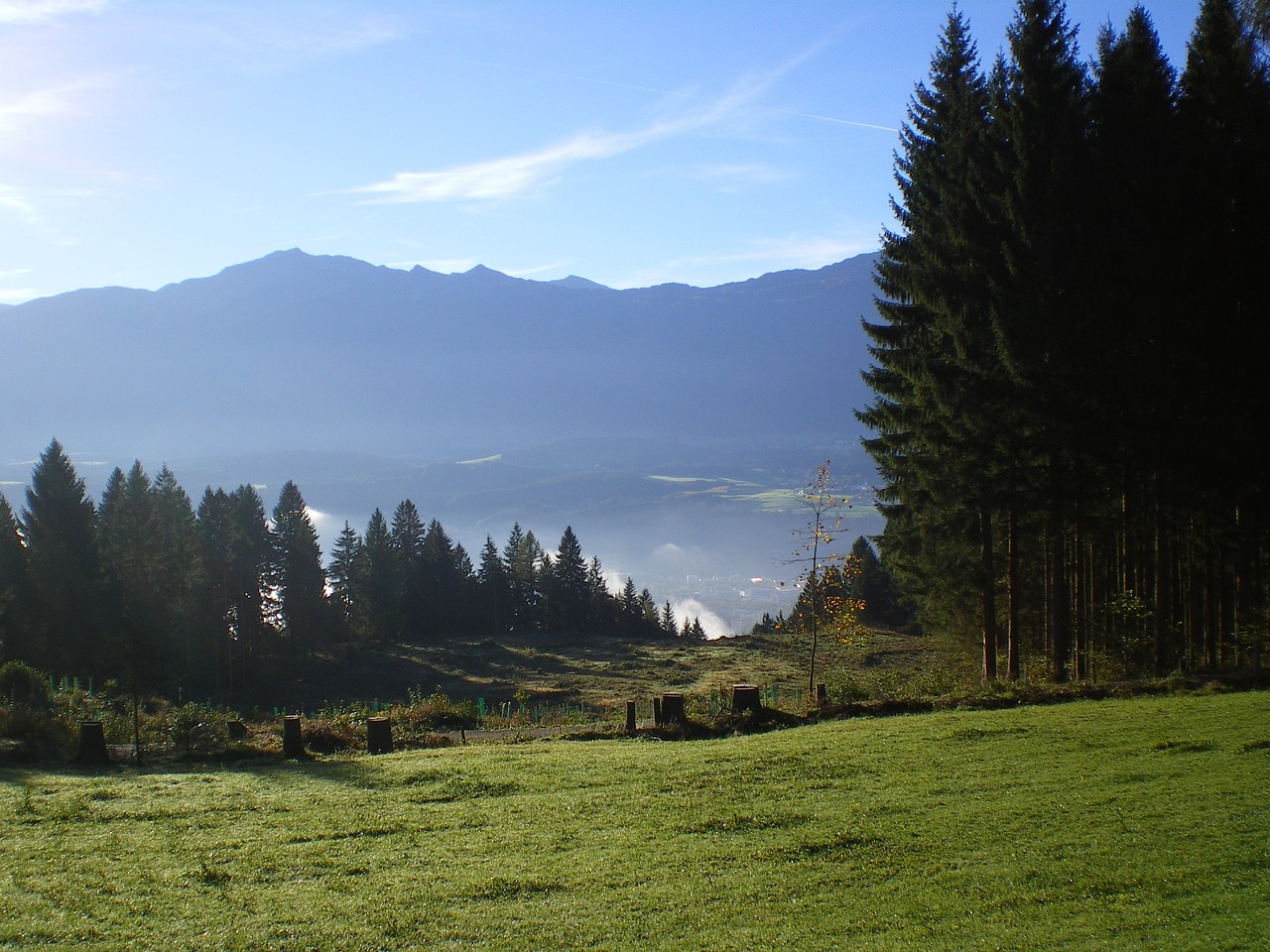 mountains tree nature free photo