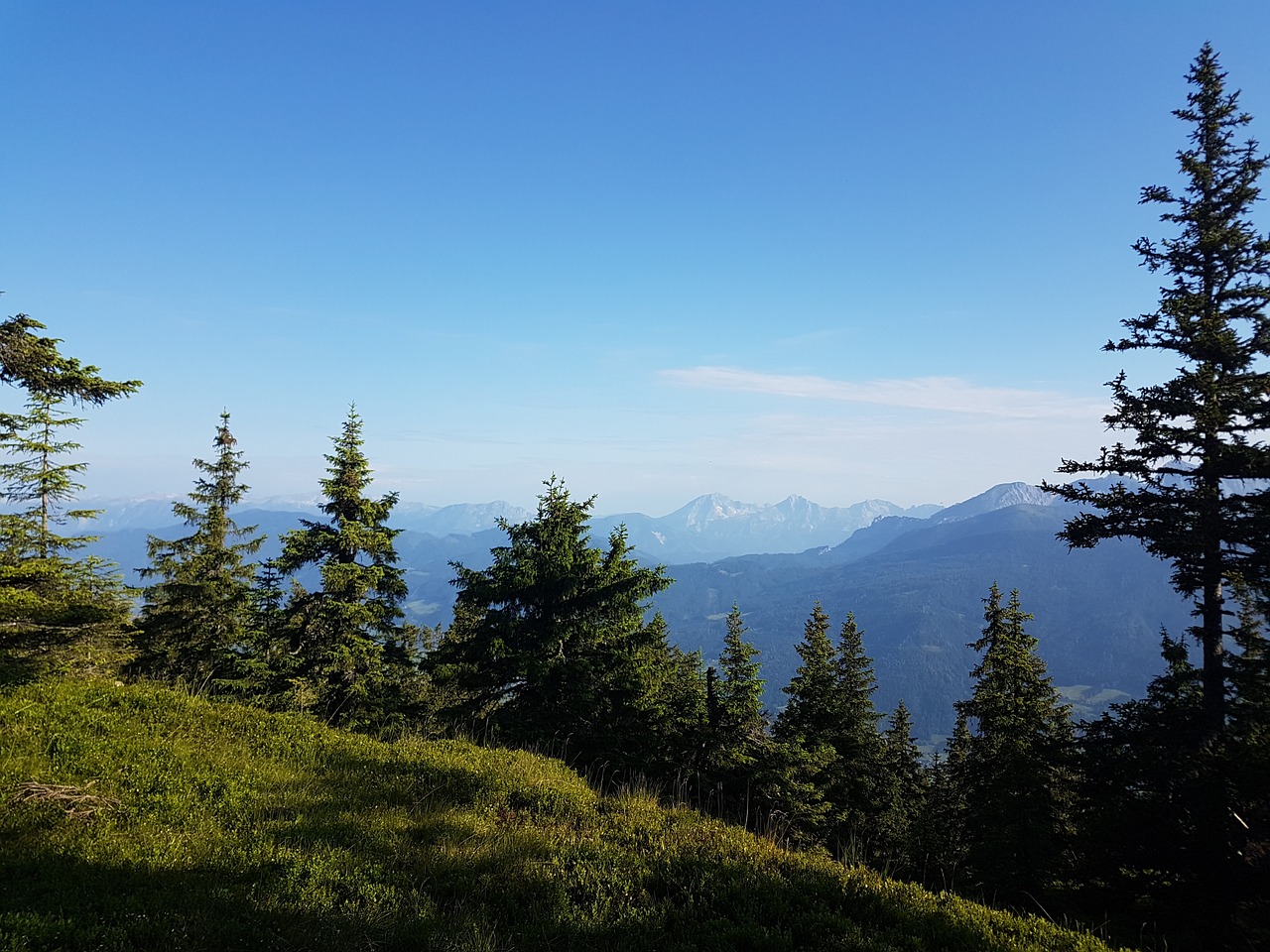 mountains forest landscape free photo