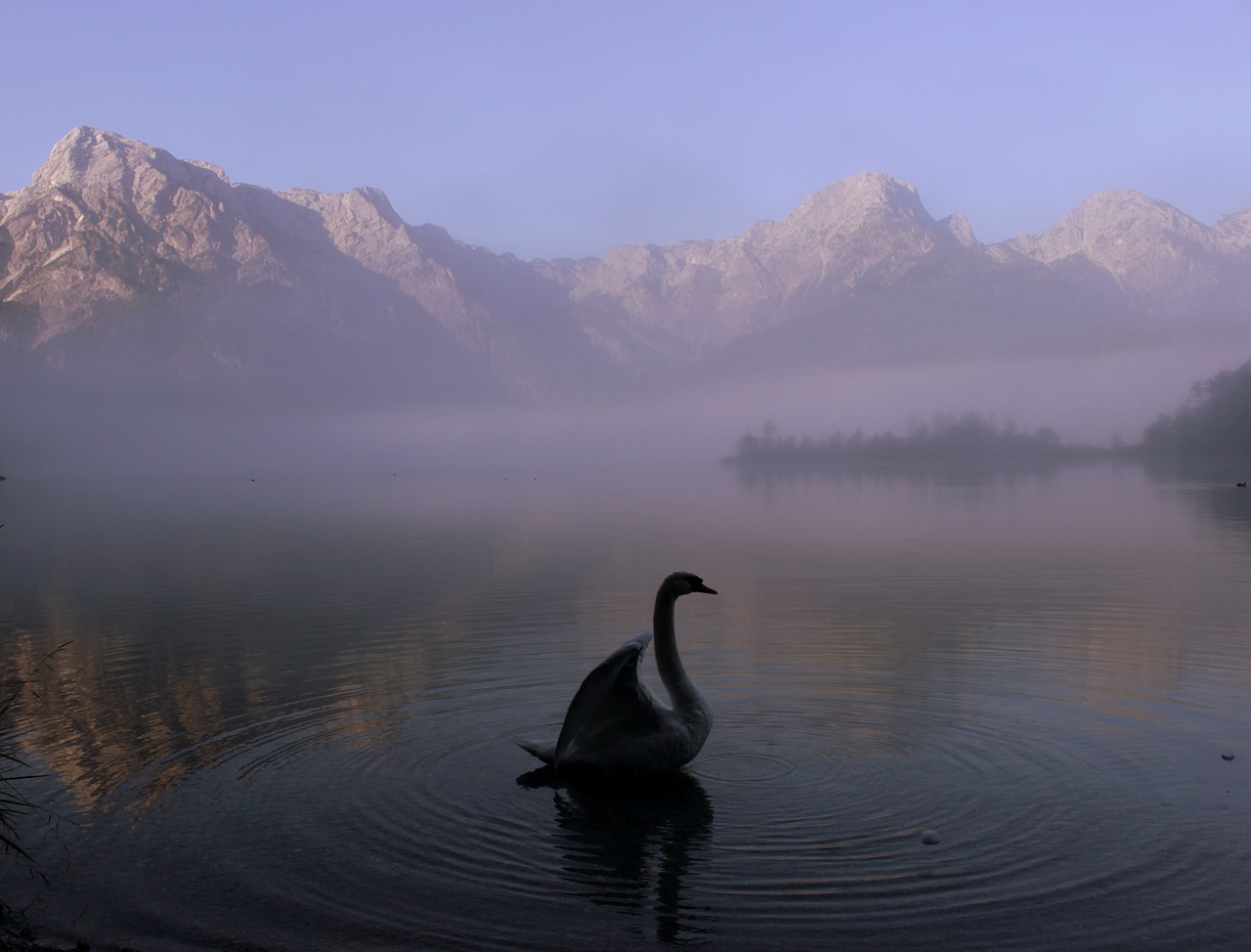 mountains lake water free photo