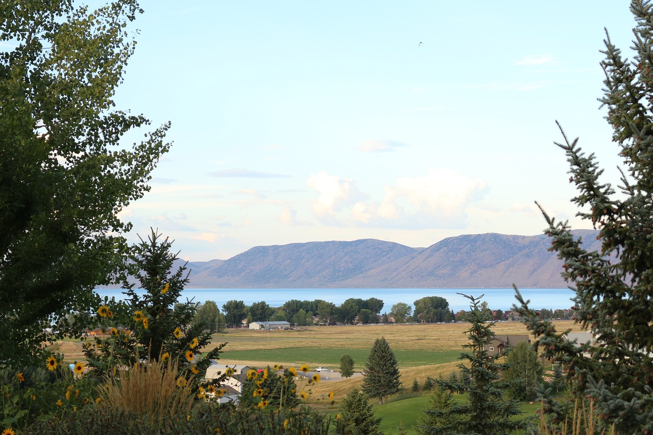 mountains view trees free photo